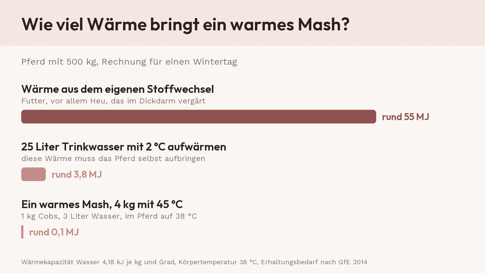 Balkengrafik für ein 500-kg-Pferd an einem Wintertag: Der eigene Stoffwechsel liefert rund 55 MJ Wärme, kaltes Trinkwasser aufzuwärmen kostet rund 3,8 MJ, ein warmes Mash bringt nur rund 0,1 MJ.