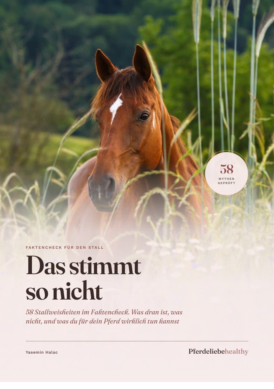 Deckblatt des E-Books Das stimmt so nicht: ein Fuchs im hohen Gras, darunter der Titel