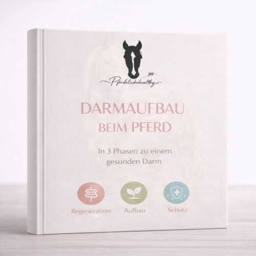 Darmaufbau beim Pferd – Schritt für Schritt zur gesunden Verdauung