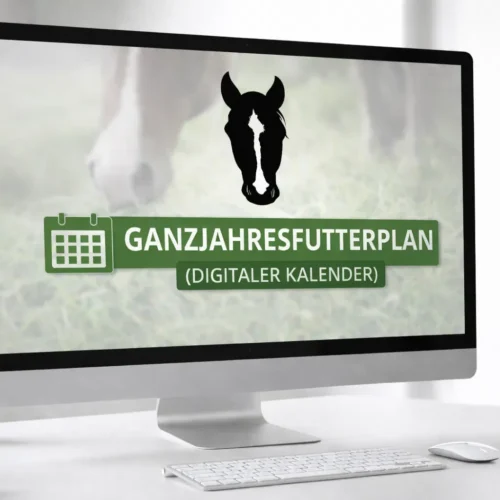 Ganzjahresfutterplan (Kalender)