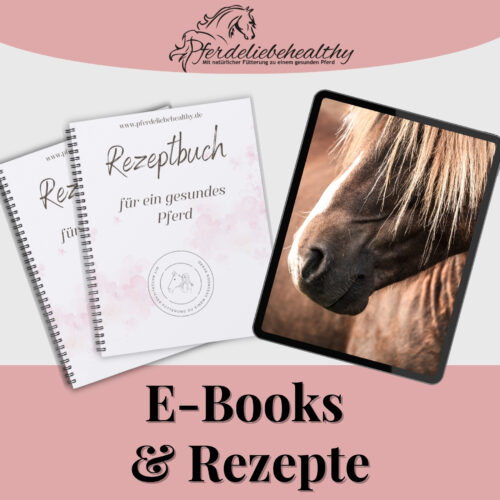 E-Books & Rezepte