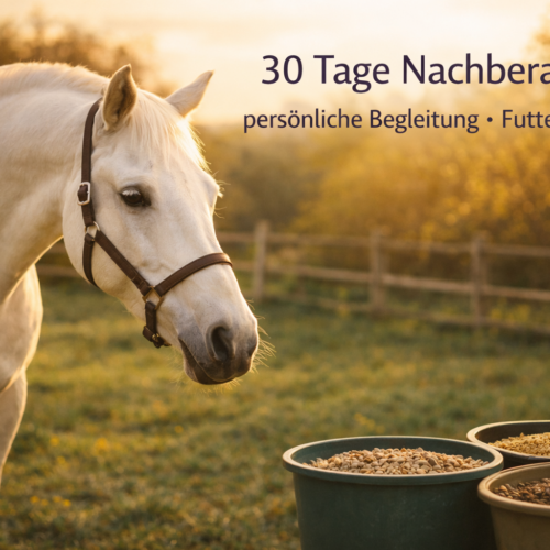 30 Tage Nachberatung – persönliche Begleitung