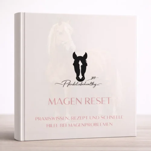Magen Reset - Praxiswissen, Rezept und schnelle Hilfe bei Magenproblemen