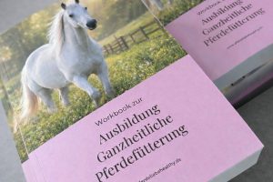 WhatsApp Image 2026-02-04 at 15.25.50