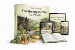 chatgpt-image-4--feb_835867700828257800-1770228598